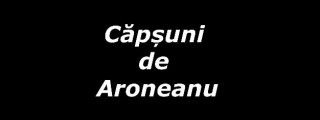 Cont_personal
