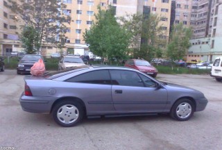 ceva